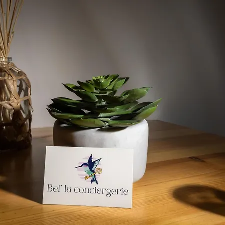 アパート Le Petit Capoine 2- T2 Plein Centre De Carcassonne- *